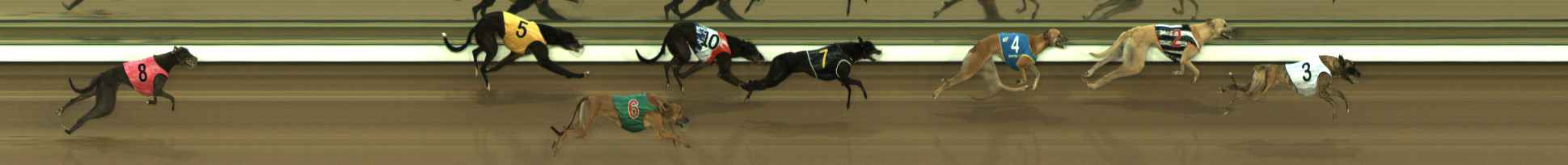 Photo finish for The Meadows Race 1