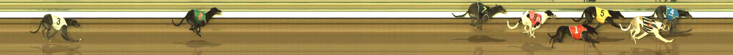 Photo finish for The Meadows Race 8