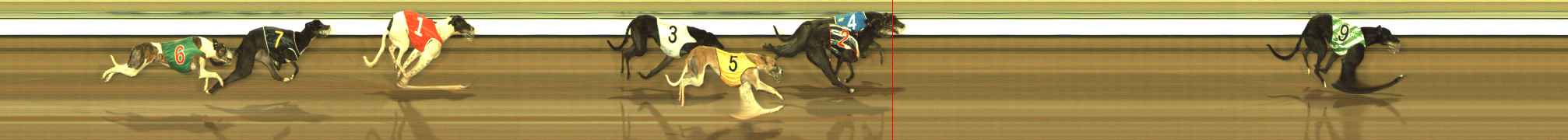 Photo finish for The Meadows Race 9