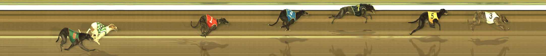 Photo finish for The Meadows Race 11