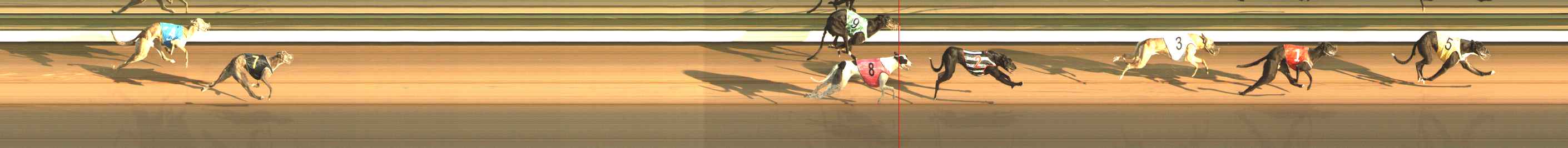 Photo finish for The Meadows Race 2