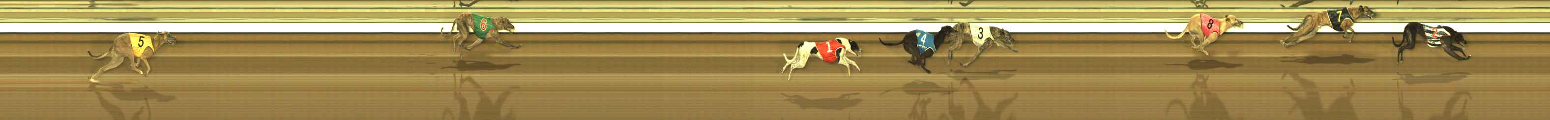 Photo finish for The Meadows Race 9