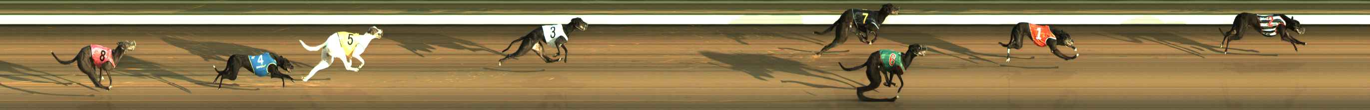 Photo finish for The Meadows Race 2
