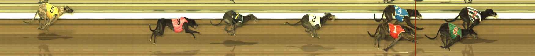 Photo finish for The Meadows Race 7