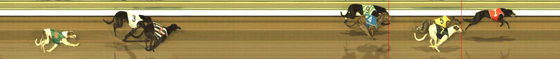 Photo finish for The Meadows Race 8