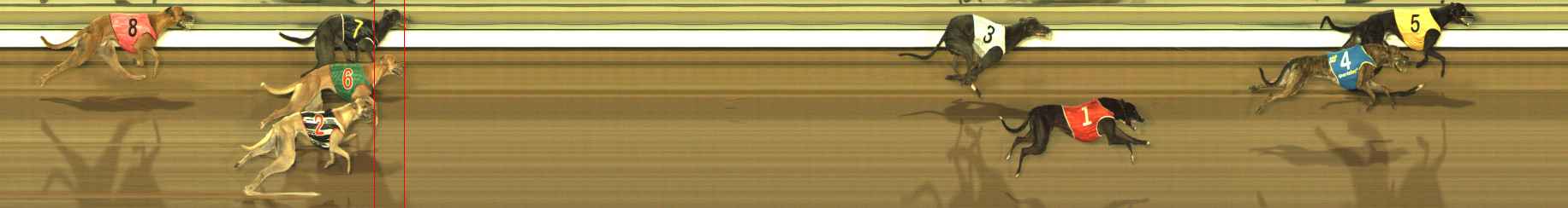 Photo finish for The Meadows Race 9