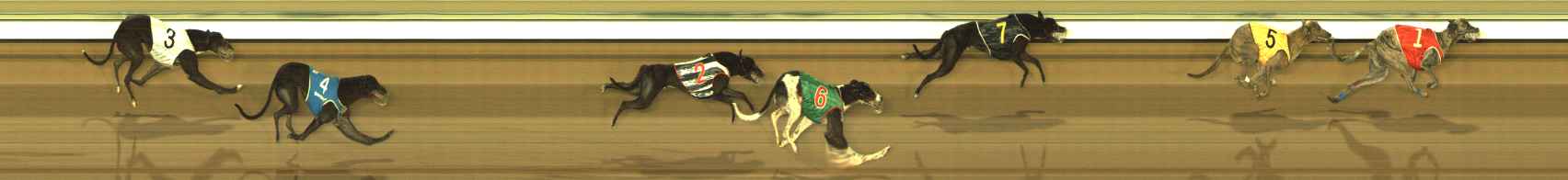 Photo finish for The Meadows Race 11