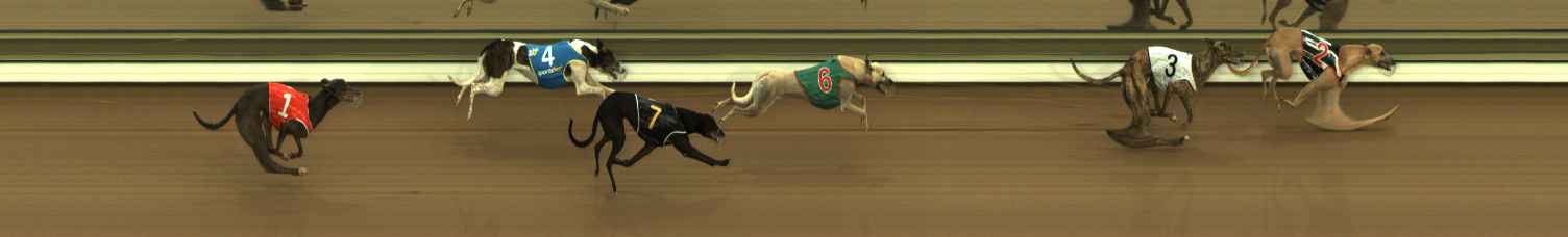 Photo finish for The Meadows Race 1