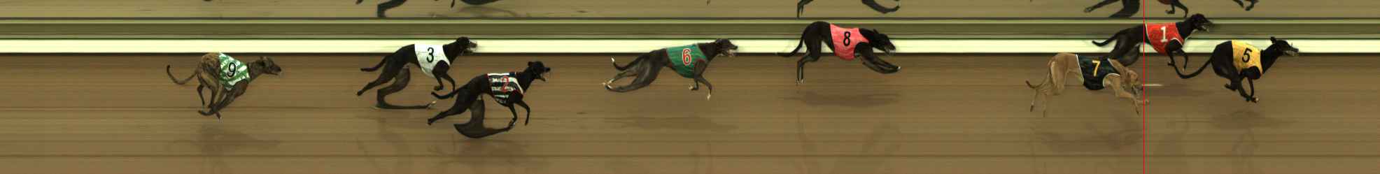 Photo finish for The Meadows Race 2