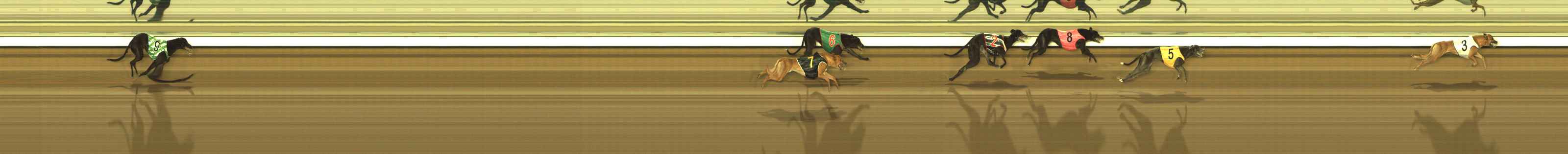 Photo finish for The Meadows Race 7
