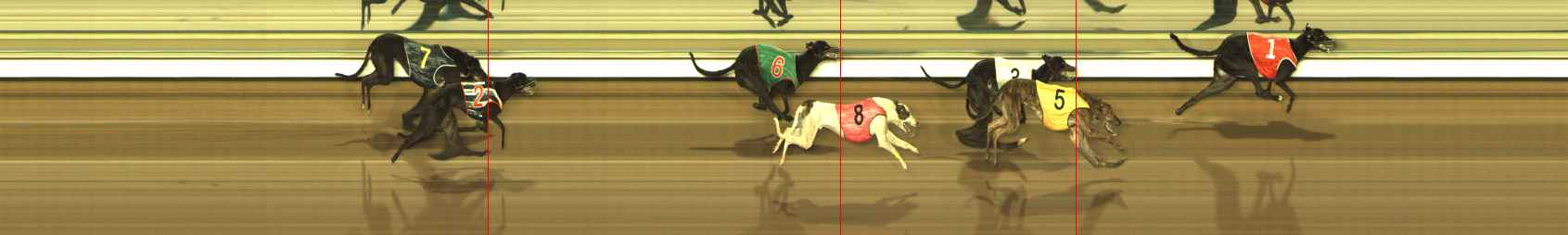 Photo finish for The Meadows Race 10