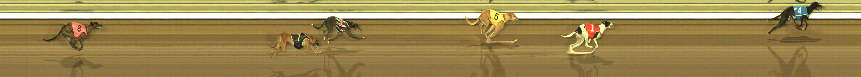 Photo finish for The Meadows Race 11