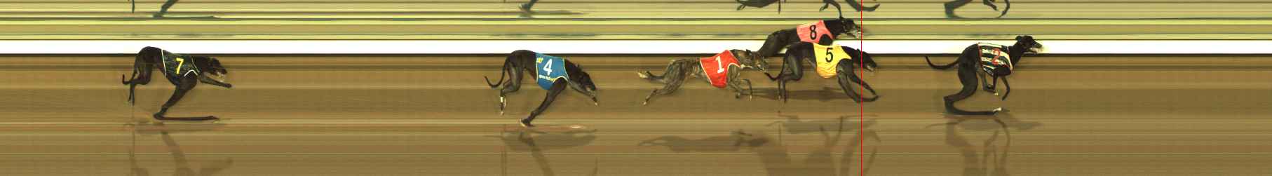 Photo finish for The Meadows Race 12