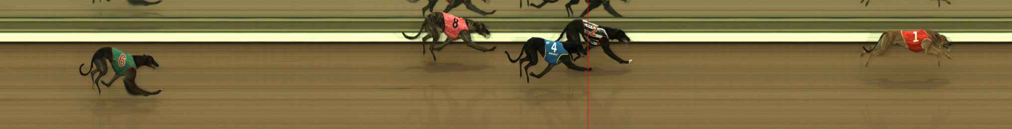 Photo finish for The Meadows Race 1