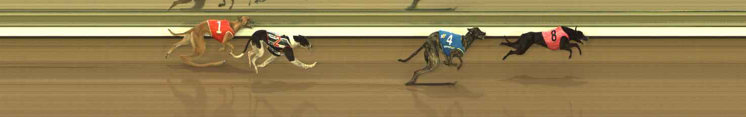Photo finish for The Meadows Race 2