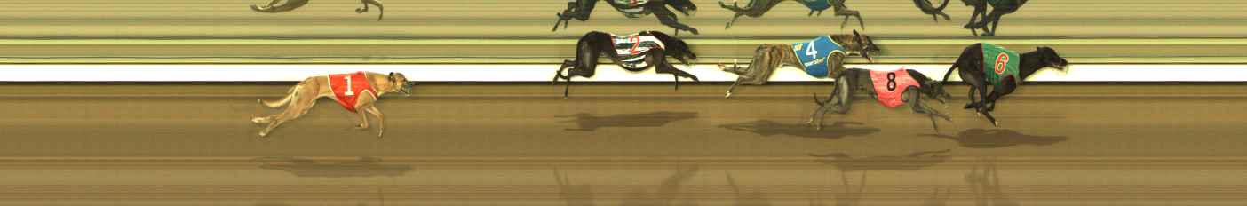 Photo finish for The Meadows Race 4