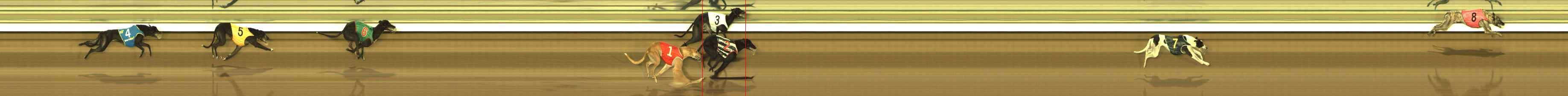Photo finish for The Meadows Race 5