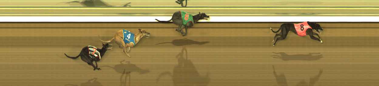 Photo finish for The Meadows Race 9