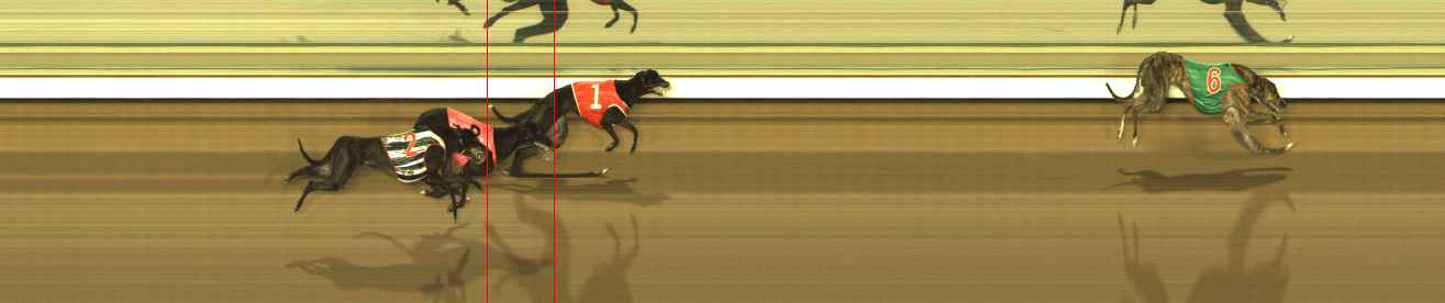 Photo finish for The Meadows Race 10