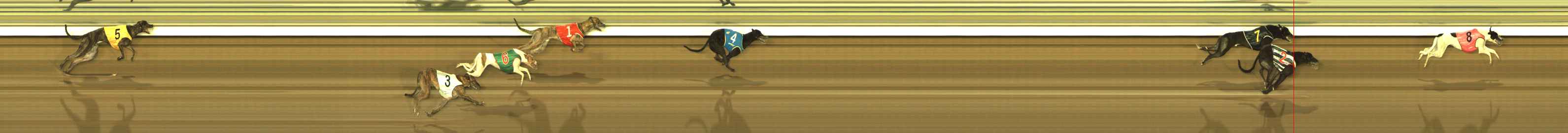 Photo finish for The Meadows Race 12
