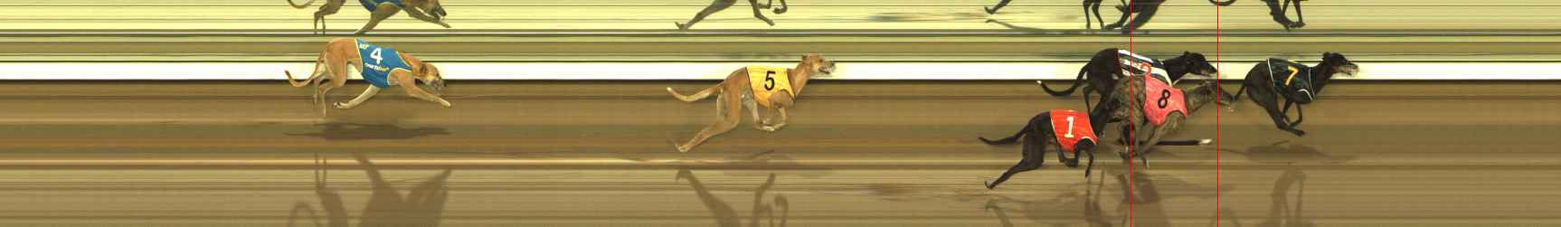 Photo finish for The Meadows Race 4