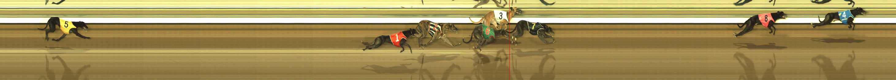 Photo finish for The Meadows Race 5