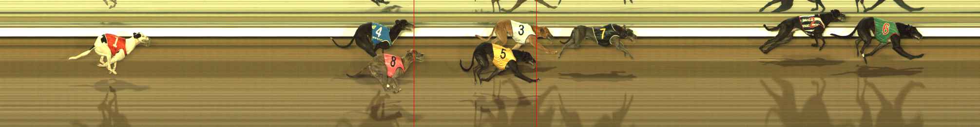 Photo finish for The Meadows Race 8