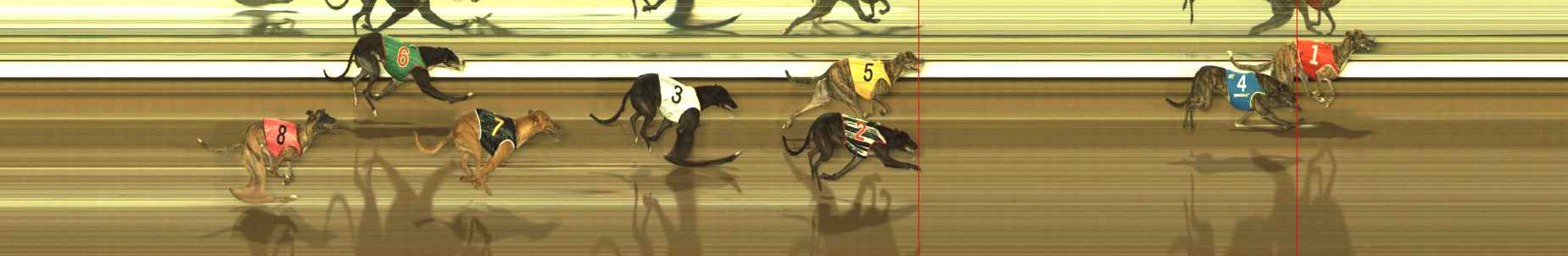 Photo finish for The Meadows Race 9