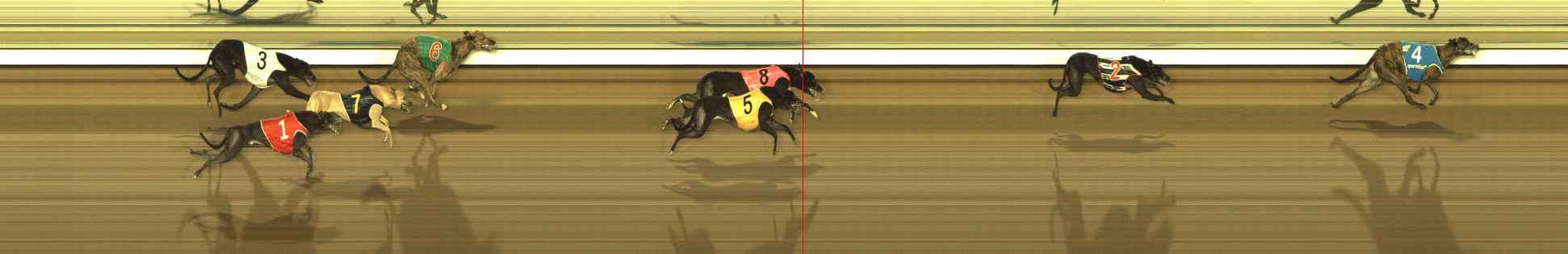 Photo finish for The Meadows Race 10