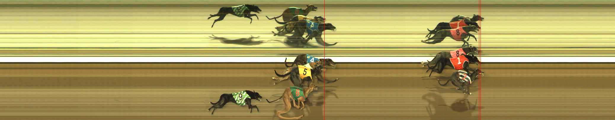 Photo finish for The Meadows Race 11