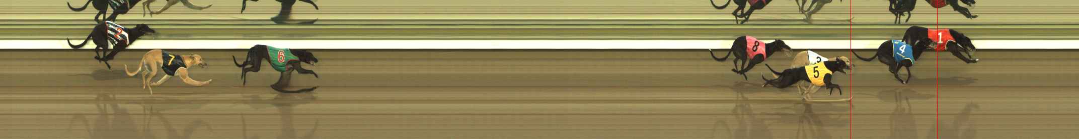 Photo finish for The Meadows Race 2