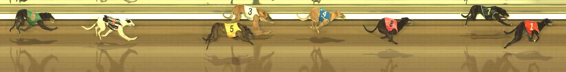 Photo finish for The Meadows Race 4