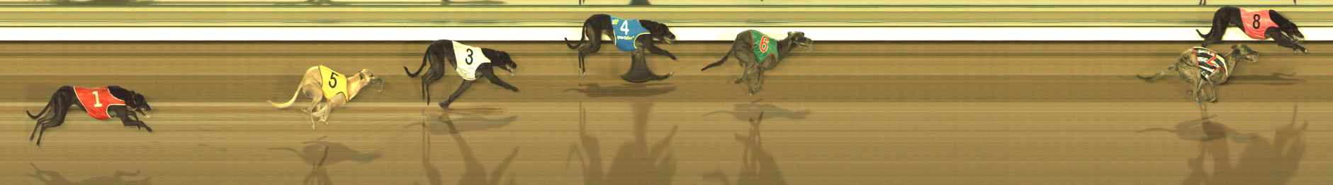 Photo finish for The Meadows Race 8