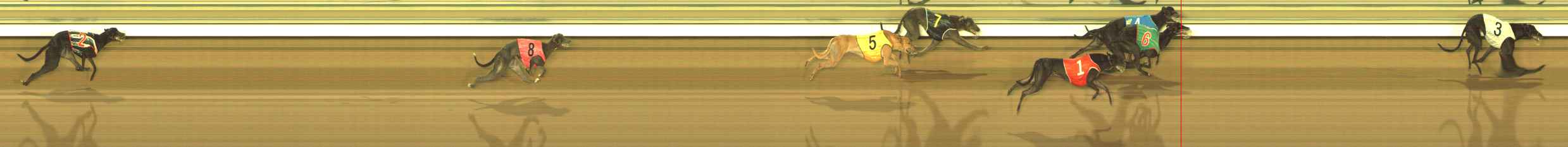 Photo finish for The Meadows Race 9