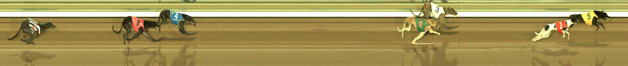 Photo finish for The Meadows Race 10