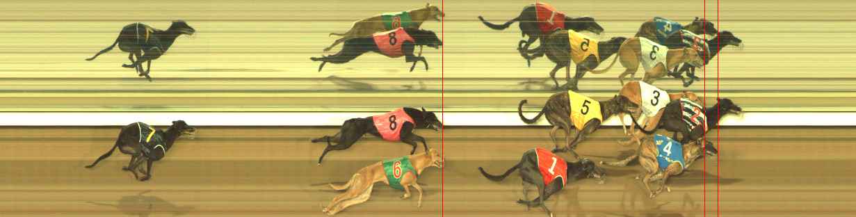 Photo finish for The Meadows Race 11