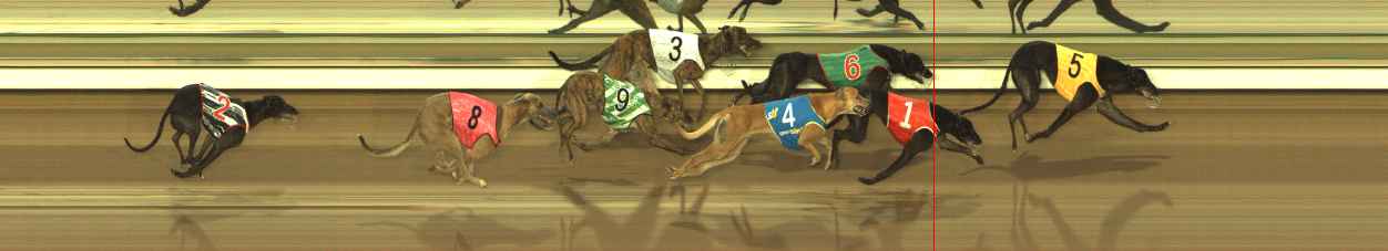 Photo finish for The Meadows Race 2