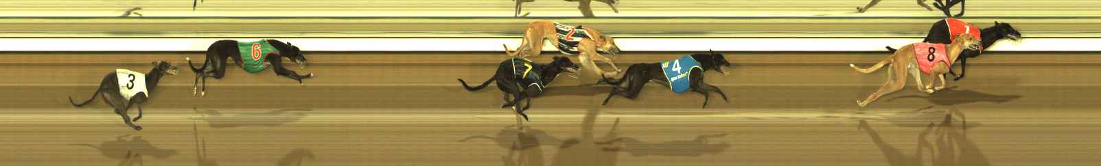 Photo finish for The Meadows Race 4