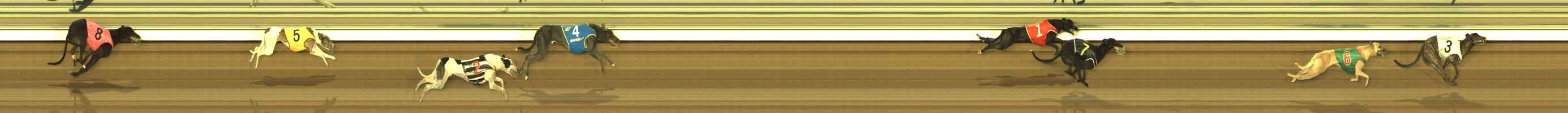 Photo finish for The Meadows Race 5