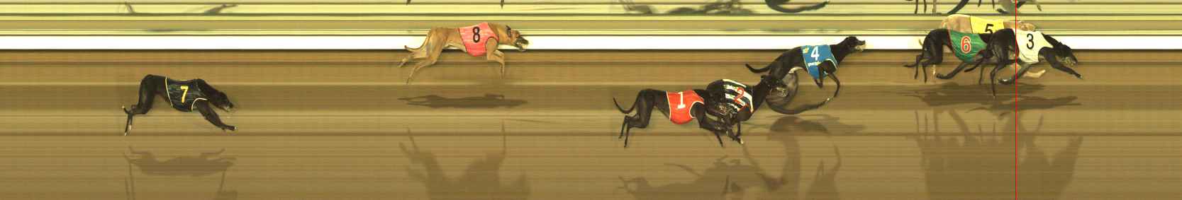 Photo finish for The Meadows Race 6