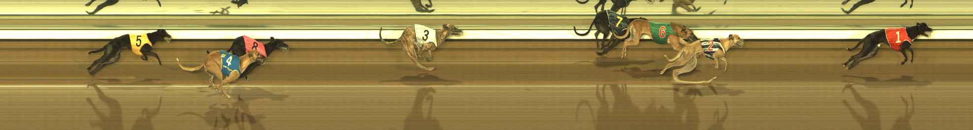Photo finish for The Meadows Race 7