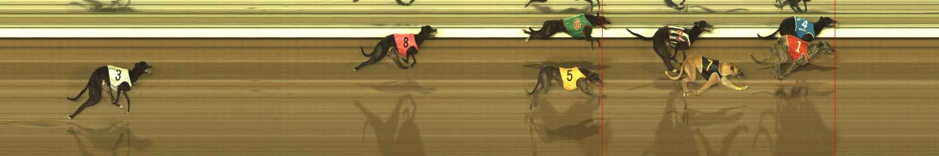 Photo finish for The Meadows Race 8