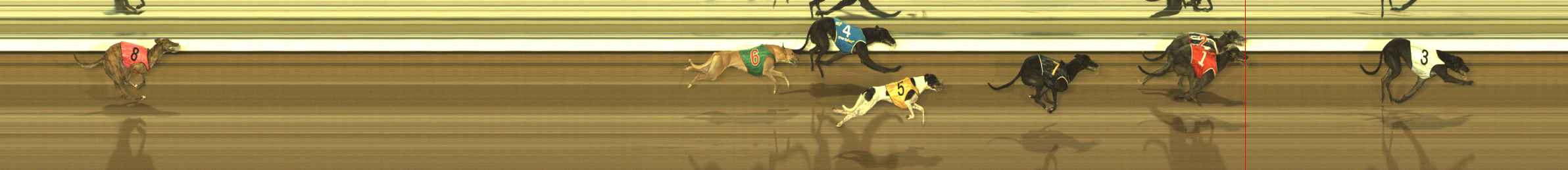 Photo finish for The Meadows Race 9