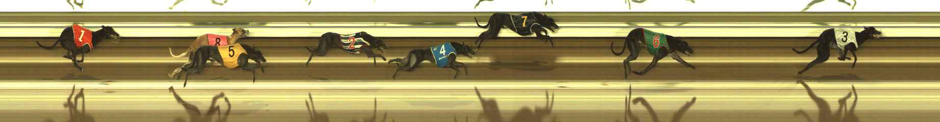 Photo finish for The Meadows Race 10