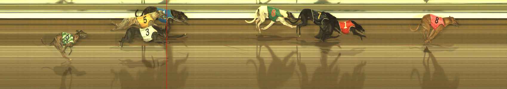 Photo finish for The Meadows Race 11