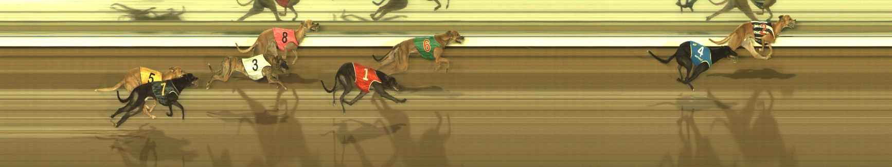 Photo finish for The Meadows Race 12