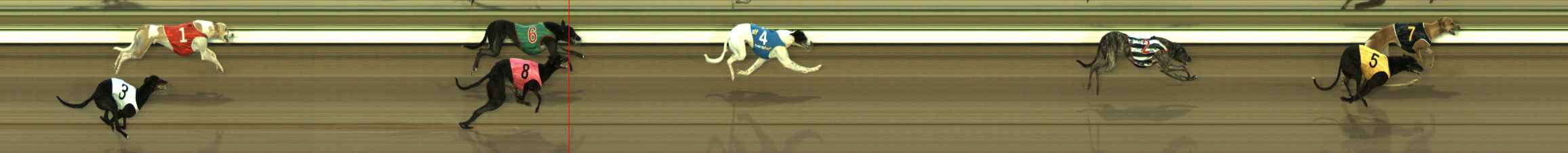Photo finish for The Meadows Race 1