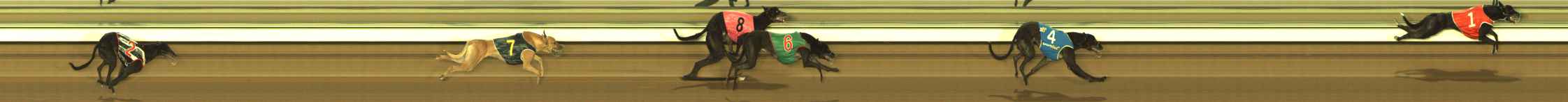 Photo finish for The Meadows Race 3