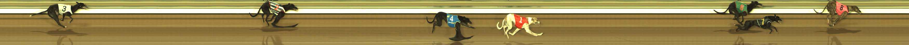Photo finish for The Meadows Race 4