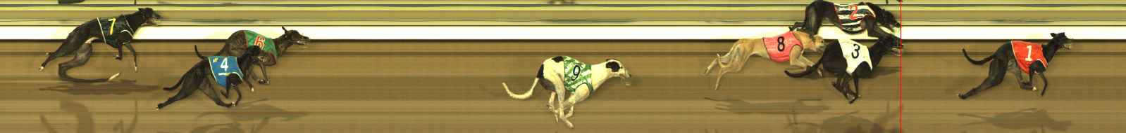 Photo finish for The Meadows Race 5